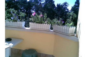 Bulgaria Privát Samokov, Exteriorul